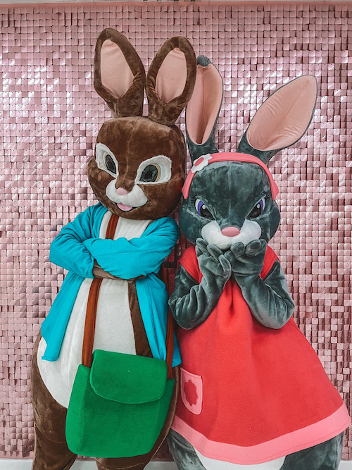 Peter and Lily Rabbit