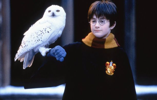 Harry Potter and Birds of Prey