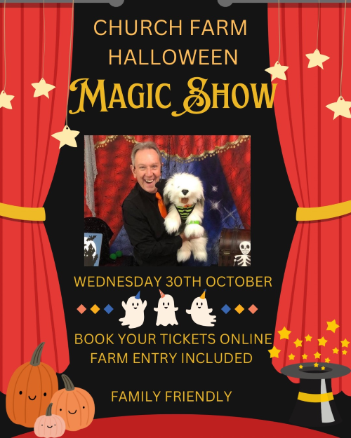 Halloween Magic Show