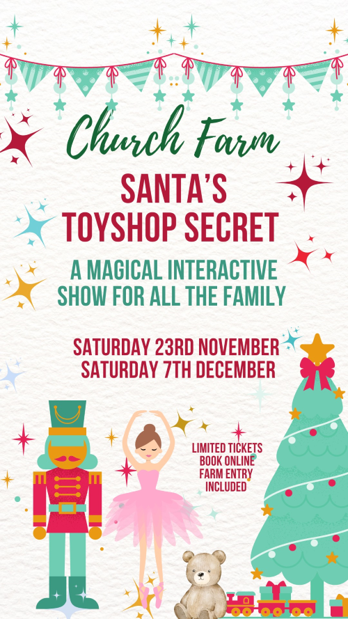 Santa Toy Workshop