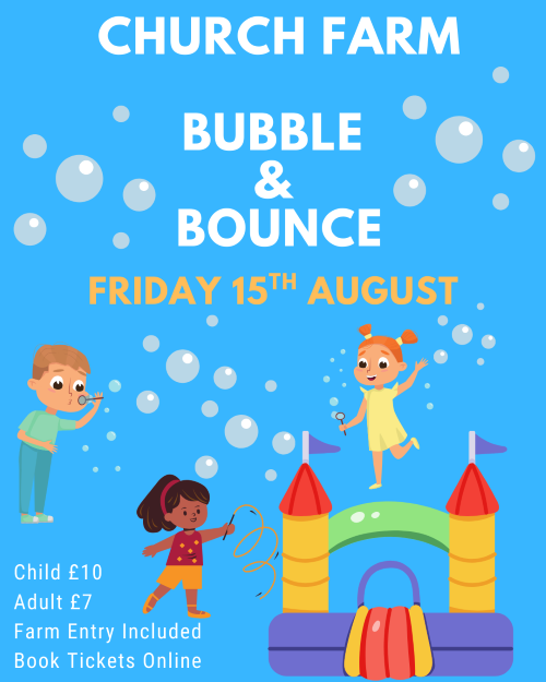 Bubble and Bounce August 2025