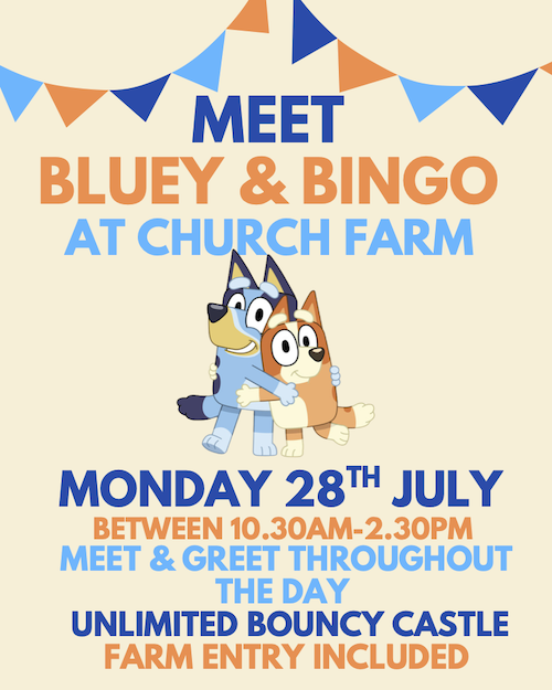 Meet and Greet Bluey and Bingo with Bouncy Castle