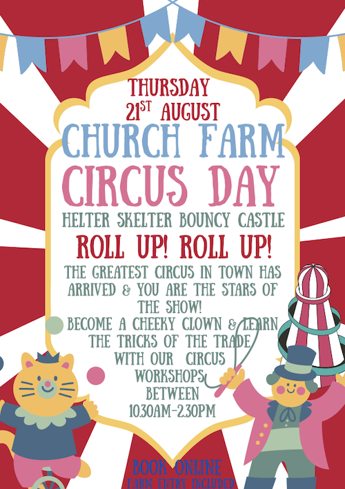 Circus Day with Helter Skelter Bouncy Castle
