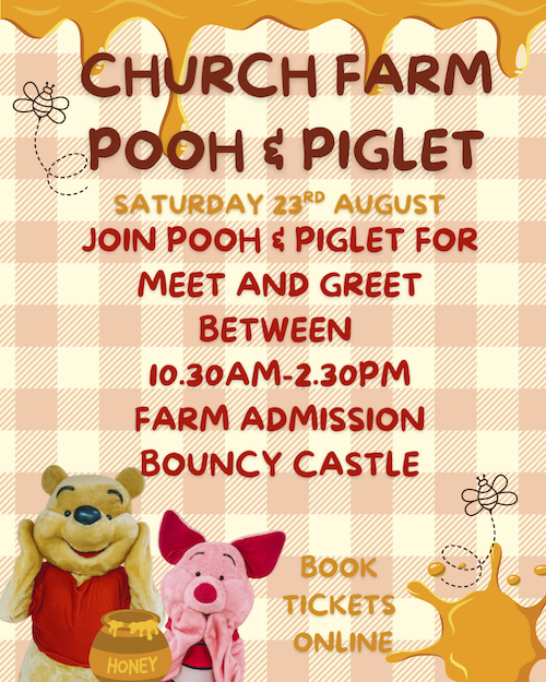 Meet and Greet with Winnie the Pooh and Piglet and Bouncy Castle