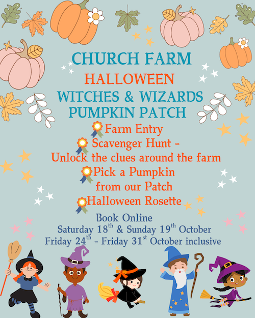 Pumpkin Patch
