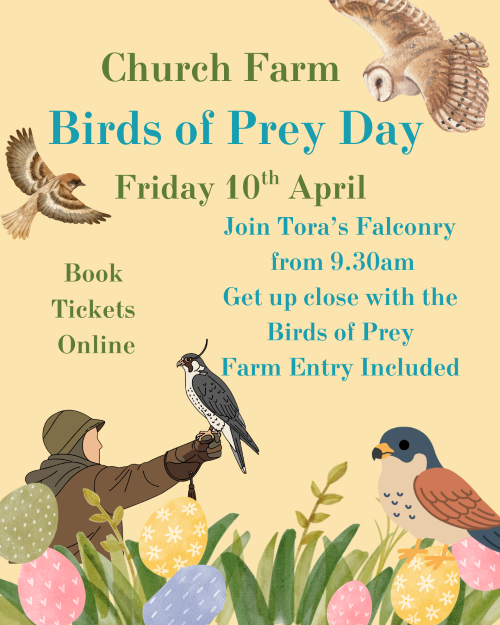 Birds of Prey Apr 26